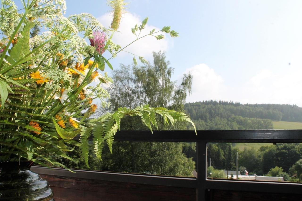 Hotel Carolaruh Bad Elster Zewnętrze zdjęcie